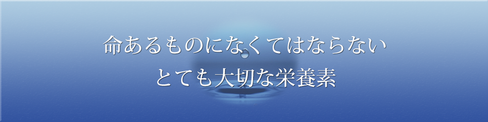命あるものにとても大切な栄養素