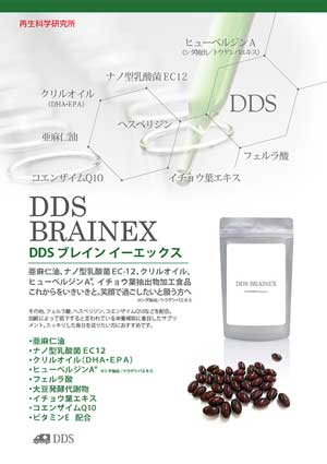 DDS ブレインA1
